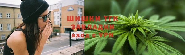 бошки Осинники